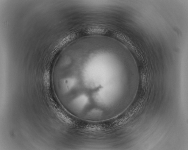 X0000111600729200907161552