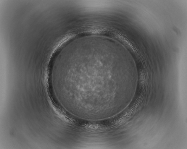 X0000111600730200907161552