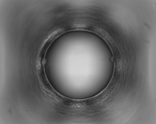 X0000111600731200907161552