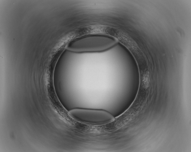 X0000111600732200907161552