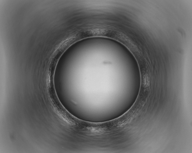 X0000111600733200907161552