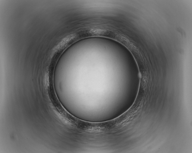 X0000111600734200907161552