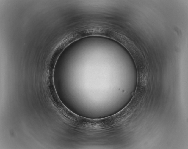 X0000111600735200907161552