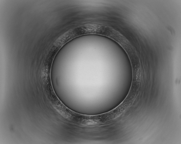 X0000111600737200907161552