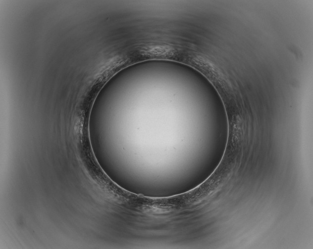 X0000111600739200907161552