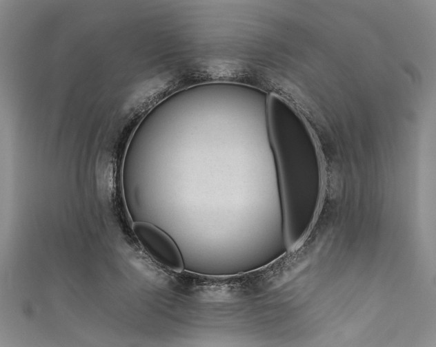 X0000111600740200907161552