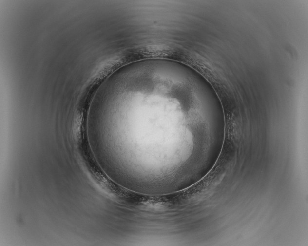 X0000111600742200907161552