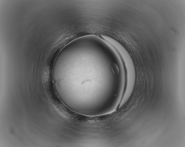 X0000111600744200907161552