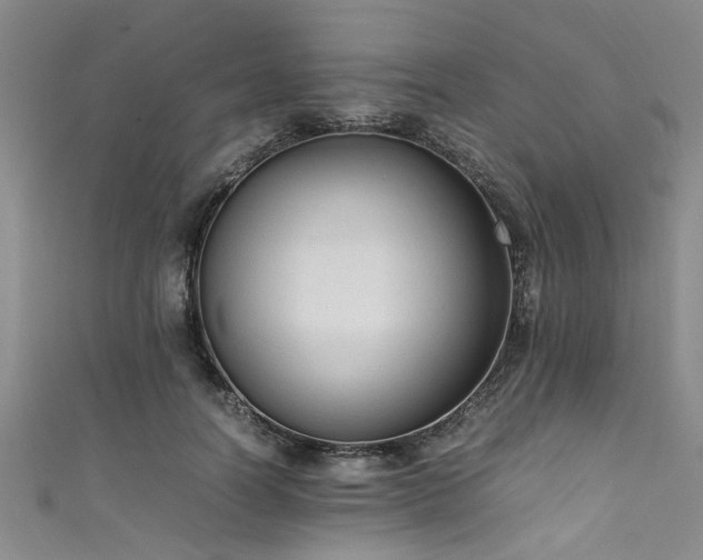 X0000111600746200907161552