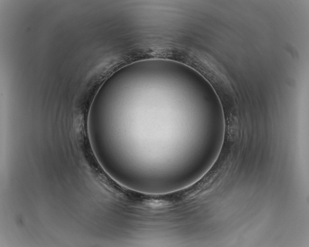 X0000111600748200907161552