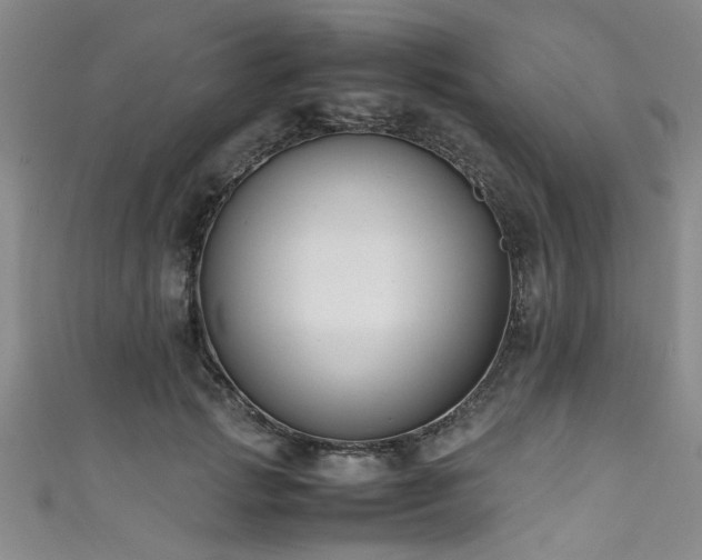 X0000111600749200907161552