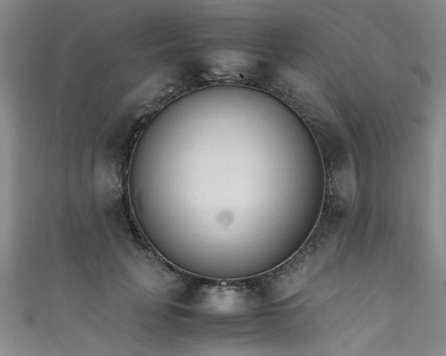 X0000111600751200907161552