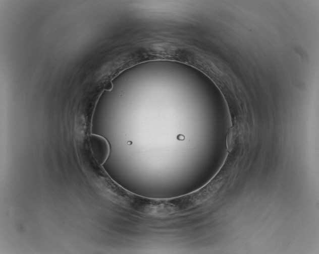 X0000111600752200907161552