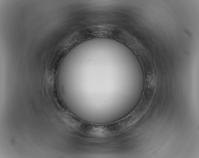 X0000111600753200907161552