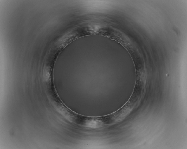 X0000111600754200907161552