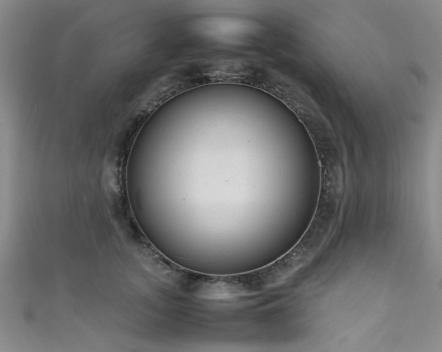 X0000111600755200907161552