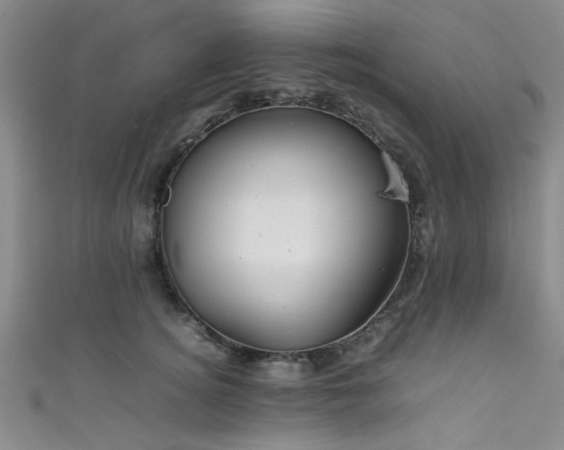 X0000111600756200907161552