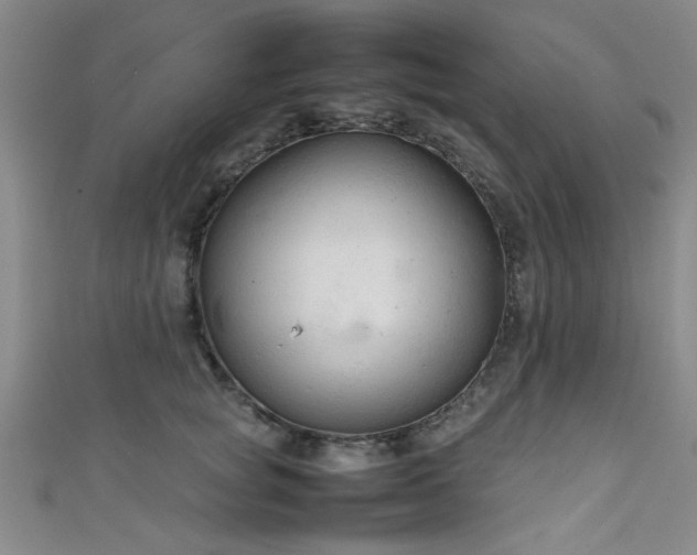 X0000111600757200907161552