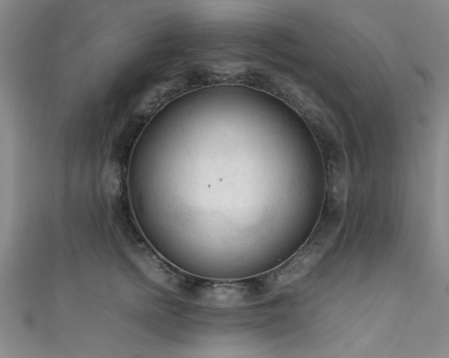 X0000111600758200907161552