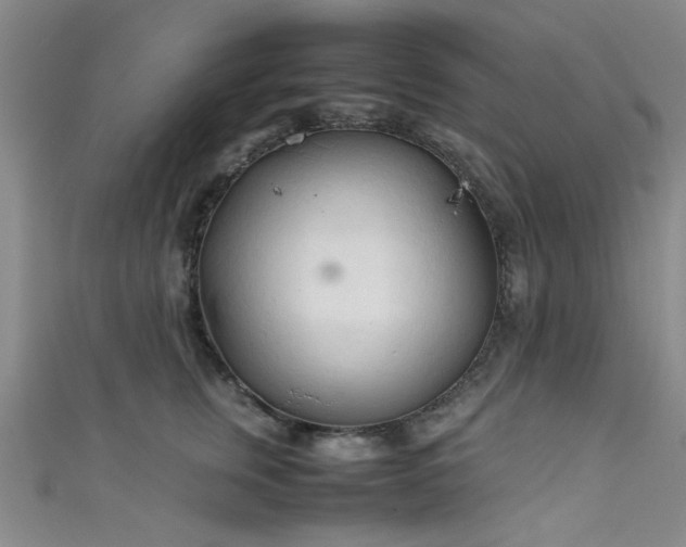 X0000111600759200907161552