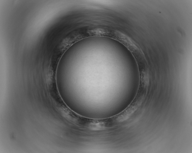X0000111600760200907161552