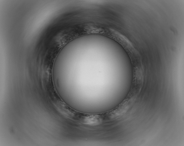 X0000111600761200907161552