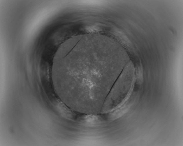 X0000111600762200907161552