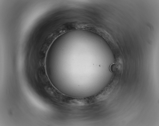X0000111600763200907161552
