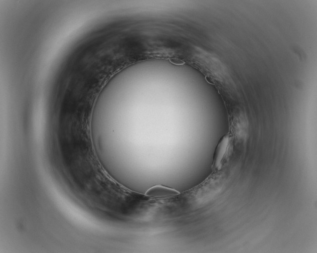 X0000111600764200907161553
