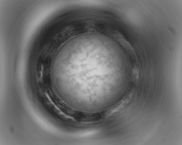X0000111600765200907161553