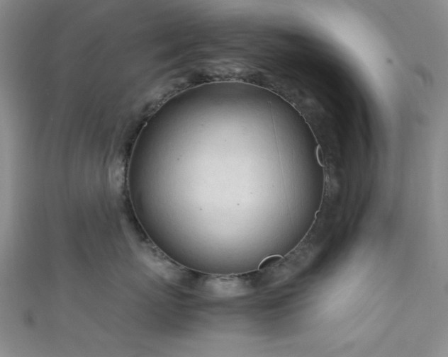 X0000111600767200907161553