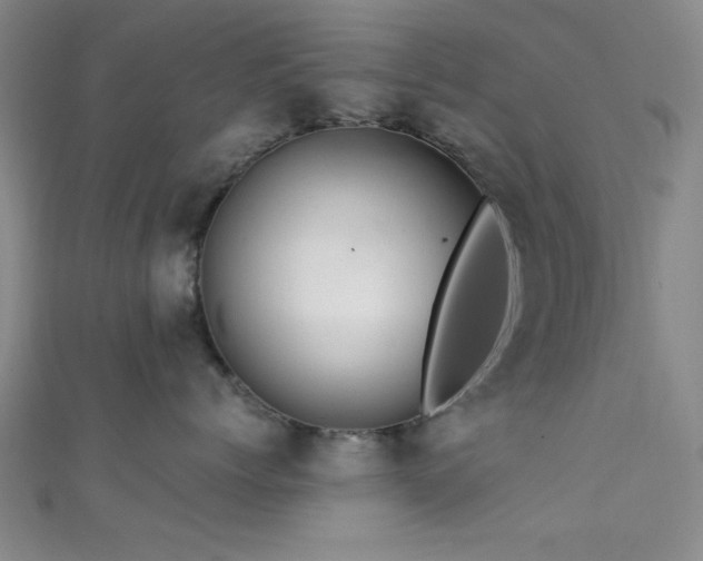 X0000111600768200907161553