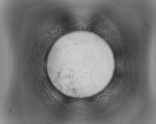 X0000111600769200907161552