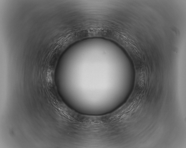X0000111600770200907161552