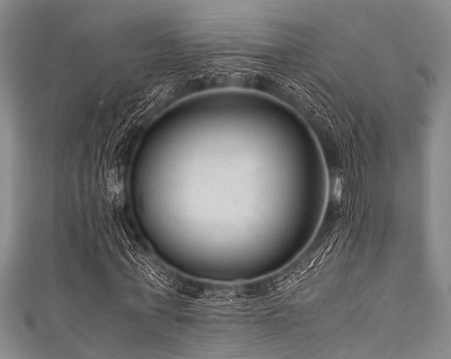 X0000111600771200907161552