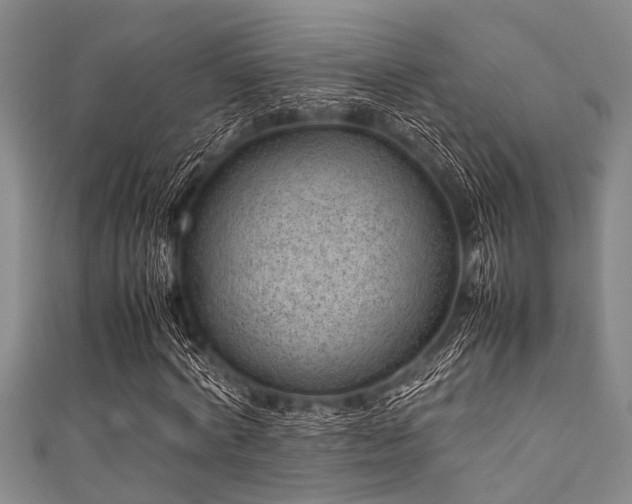 X0000111600772200907161552