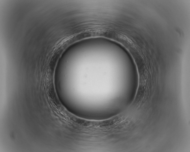 X0000111600773200907161552
