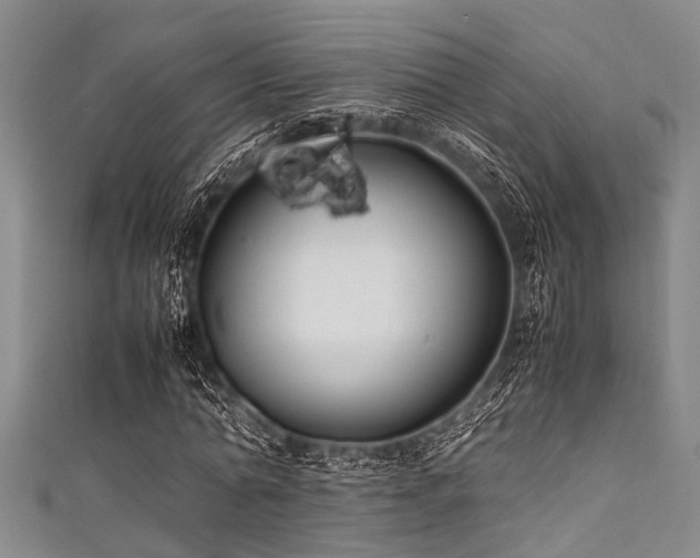 X0000111600774200907161552