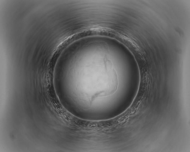 X0000111600776200907161552