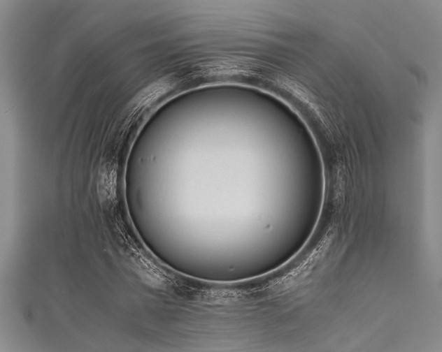 X0000111600777200907161552