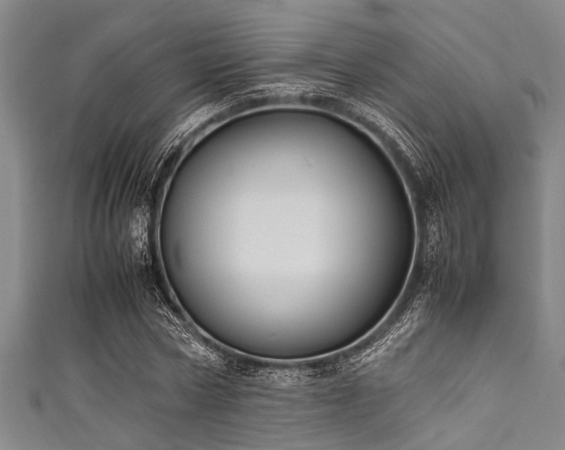 X0000111600778200907161552