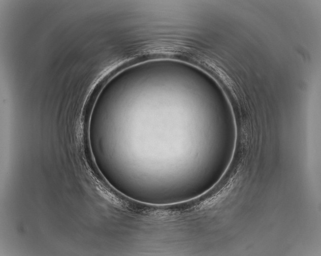 X0000111600779200907161552
