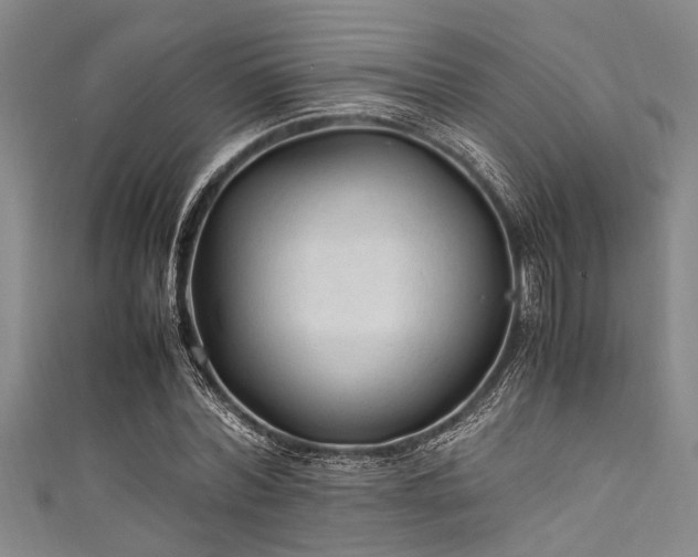 X0000111600780200907161552