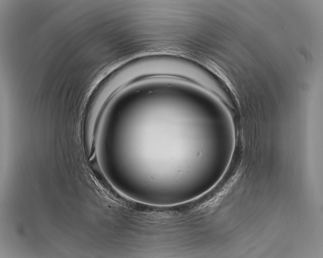 X0000111600781200907161552