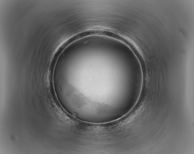 X0000111600783200907161552