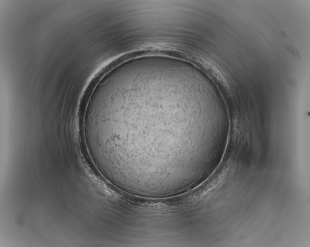 X0000111600784200907161552
