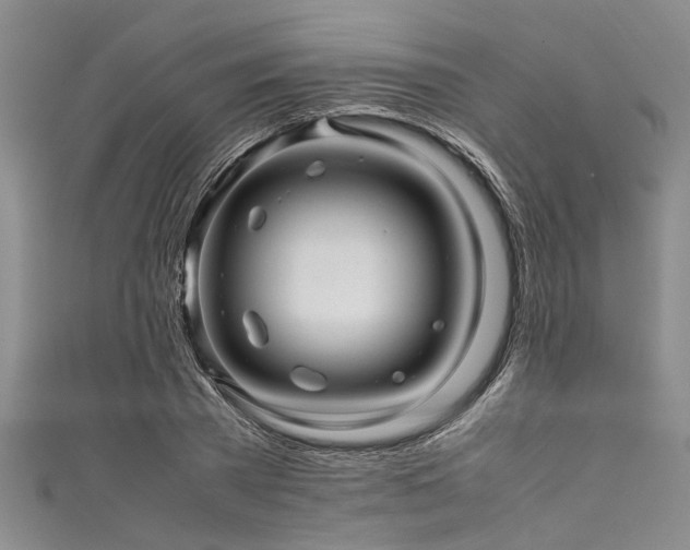 X0000111600785200907161552