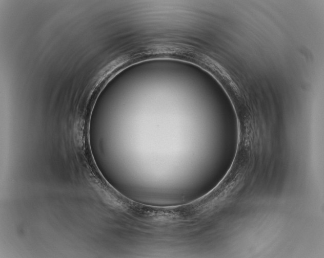 X0000111600786200907161552