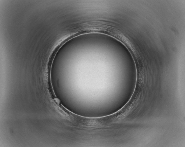 X0000111600787200907161552