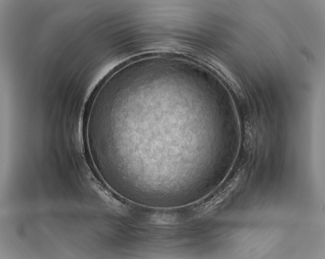 X0000111600788200907161552